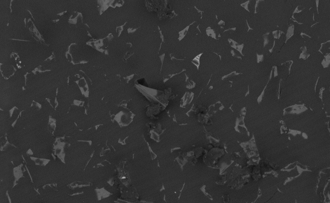 Sandpaper Micrograph